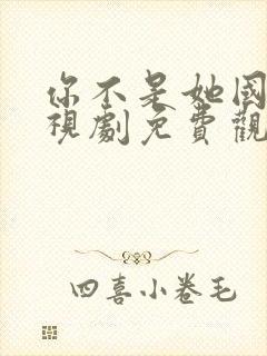 你不是她国语电视剧免费观看