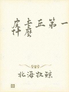 皮卡丘第一部叫什么