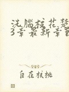 洗脑校花楚璃23章最新章节列表