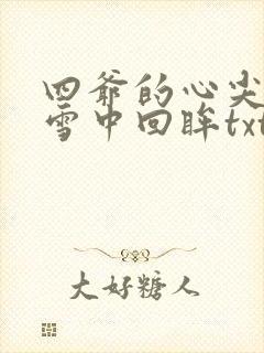 四爷的心尖宠妃雪中回眸txt下载封面