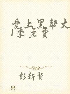 爱上黑帮大佬第1季免费封面