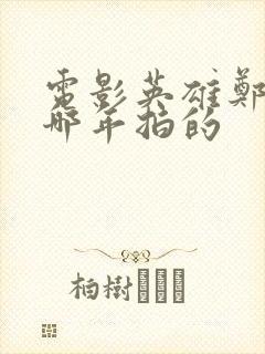 电影英雄郑成功哪年拍的