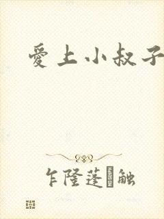 爱上小叔子电影