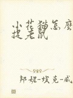 小花猫怎么样的捉老鼠