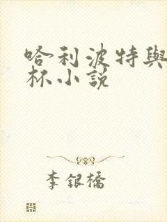 哈利波特与火焰杯小说封面