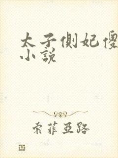 太子侧妃傻乎乎小说