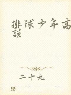 排球少年高h小说