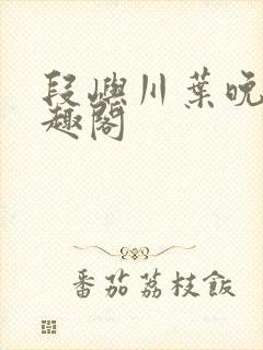 段屿川叶晚棠笔趣阁封面