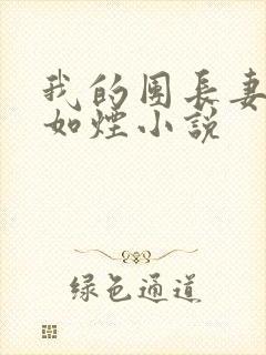 我的团长妻子柳如烟小说