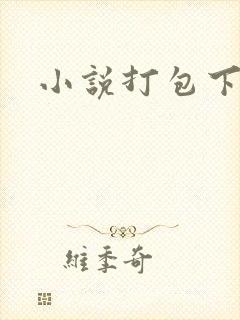 小说打包下载