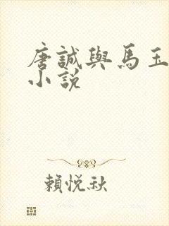 唐诚与马玉婷的小说