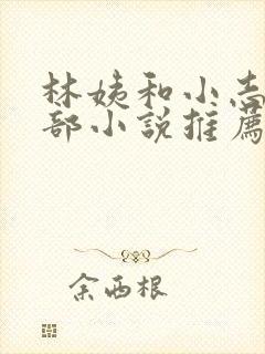 林姨和小志的全部小说推荐