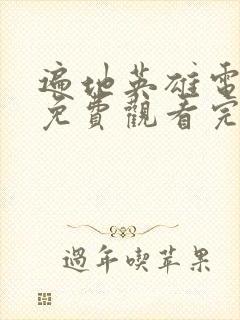 遍地英雄电视剧免费观看完整版高清