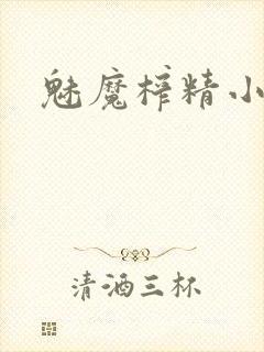 魅魔榨精小说封面