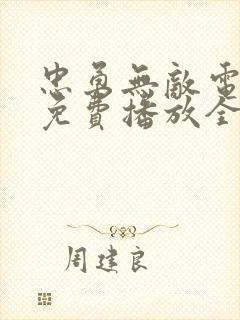 忠勇无敌电视剧免费播放全集高清