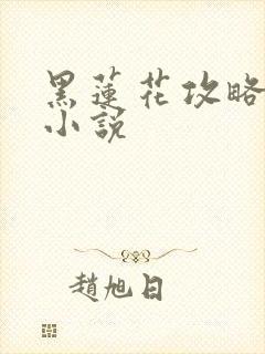 黑莲花攻略手册小说
