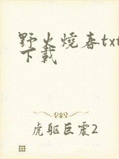 野火烧春txt下载