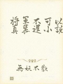 将军不可以魏云真慕迟小说笔趣阁