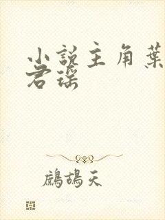 小说主角叶楚姜君瑶