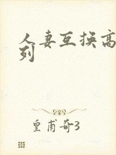 人妻互换高h系列