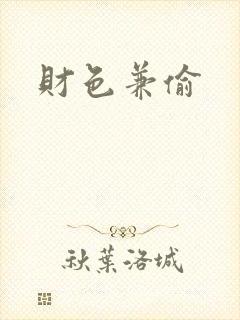 财色兼偷封面