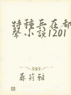 特种兵在都市有声小说1201封面