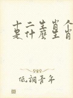 十二生肖个个知是什么生肖打一肖