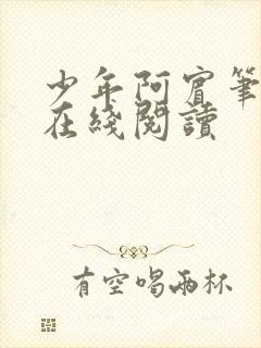 少年阿宾笔趣阁在线阅读