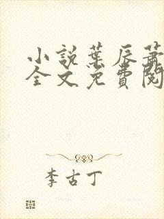 小说叶辰萧初然全文免费阅读封面