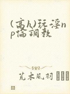 (高h)玩淫np伦调教