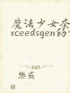 魔法少女奈叶exceedsgen的介绍