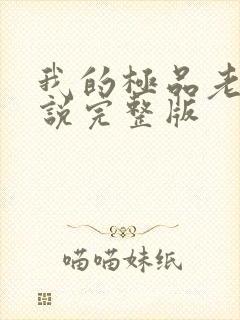 我的极品老婆小说完整版