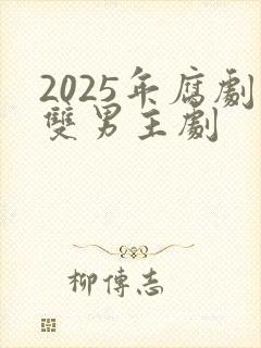 2025年腐剧双男主剧封面