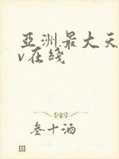 亚洲最大天堂av在线