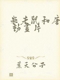 米老鼠和唐老鸭 动画片封面