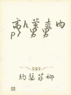 高h荤爽肉〈np〉男男