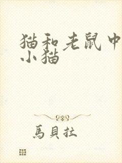 猫和老鼠中三只小猫封面