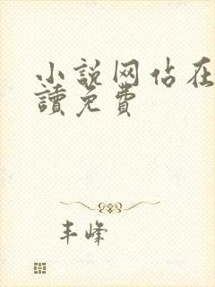 小说网站在线阅读免费