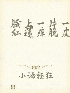 脸上一片一片的红还痒脱皮