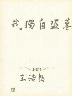 我独自盗墓