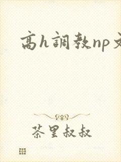 高h调教np文