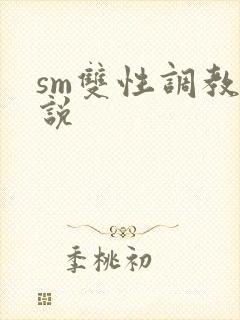 sm双性调教小说