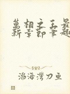 万相之王最新更新章节笔趣阁封面