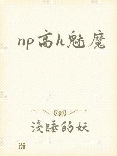 np高h魅魔