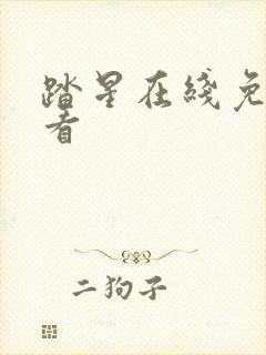 踏星在线免费观看