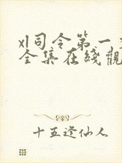 xl司令第一季全集在线观看真人版封面