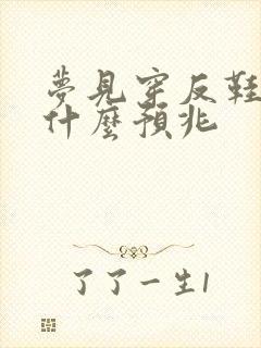 梦见穿反鞋子是什么预兆封面