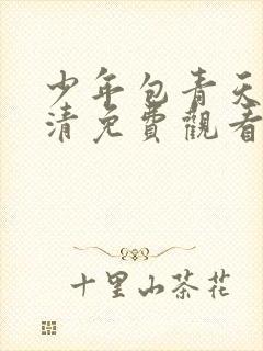 少年包青天2高清免费观看完整