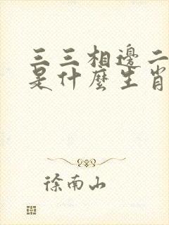 三三相边二一合是什么生肖动物封面