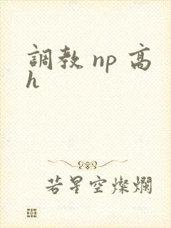 调教 np 高h
